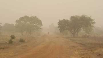 NiMet predicts cloudy weather, rainfall on Saturday, March 9