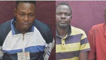 Boko Haram ta saki hotunan ɗan sanda da ma'aikatan gwamnati da ta sace a Borno