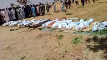 Da Ɗumi-Ɗumi: Yan Bindiga Sun Hallaka Mutum 60 a Jihar Zamfara