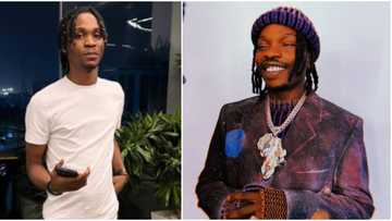 “Naira Marley built houses, he couldn’t even give me one room to stay”: Lil Smart on why he left Marlian Music