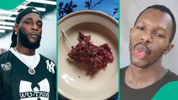 Burna Boy tackles Daniel Regha over sumptuous meal, critic returns online, complains about tomatoes