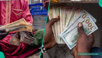CBN releases updated dollar, pound, euro exchange rates