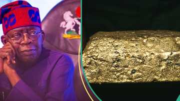 After increasing mining cost, FG shuts down gold mine, names location