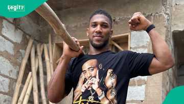 Anthony Joshua speaks after departure: "Nigeria, thank you for the energy”