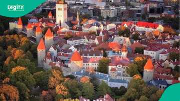 Full list of countries that can enter Estonia without a visa in 2026