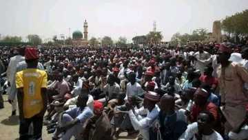 ‘Yan Kwankwasiyya sun fadi abin da zai faru ga wanda ya yada bidiyon auren Buhari
