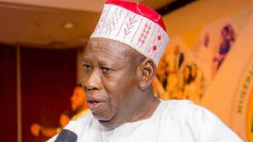 Ganduje ya bukaci a haramta yawon shanu daga arewa zuwa kudancin kasar nan