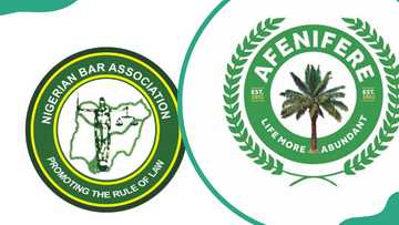 Pressure groups in Nigeria that are quietly shaping the country's political landscape