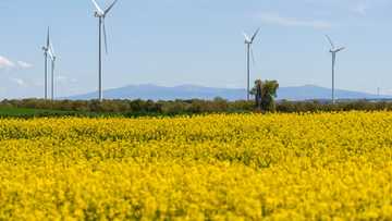 Spain's blackout highlights renewables' grid challenge