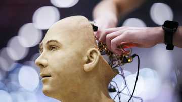 Urgent need for 'global approach' on AI regulation: UN tech chief