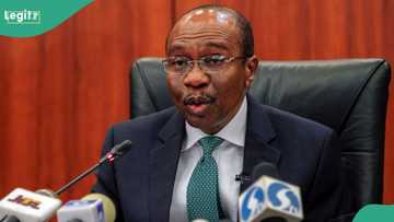 Court grants Ex-CBN governor, Godwin Emefiele bail, gives reason