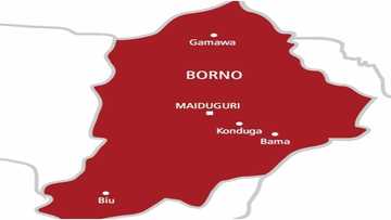 Mayakan Boko Haram sun kone kauye guda a Borno bayan dakarun soji sun ki amsa kiran gaggawa
