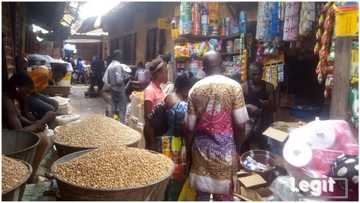 Legit.ng weekly price check: Bag of rice sells for N30k, Ogbono rises to N200k, egusi N150k in Lagos market