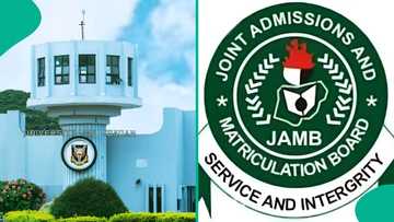 UTME 2026: University of Ibadan releases JAMB cut-off marks for 2025/2026 admission