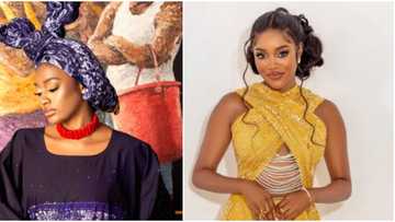 Nigerians feel Beauty truly deserves her disqualification from BBNaija house