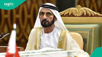Dubai publishes 5 steps foreigners must complete to get a work permit and residence visa