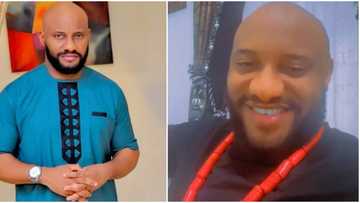 "Like they are abusing you in Enugu": Netizens attack Yul Edochie as he returns to Lagos home