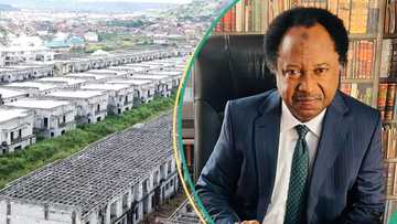 How Tinubu’s govt should share Emefiele's 753 duplexes, Shehu Sani explains