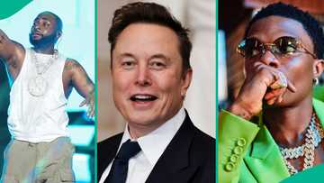 Davido's fans threaten to report Elon Musk's Grok AI over response on OBO, Wizkid's vocals, rhythms