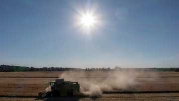 Fears for crops as drought hits northern Europe