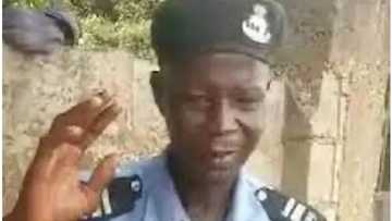 Kaico: An Bada Umurnin Kamo Dan Sandan Da Aka Nadi Bidiyonsa Ya Yi Tatil Da Giya Tare Da Yin Bayan Gida A Wandonsa
