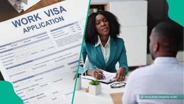 4 countries offering work opportunities to foreigners in 2026: How Nigerians can apply