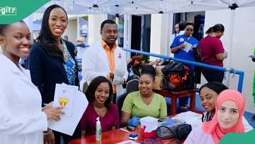 Nigeria ranks 7th globally for international students in United States