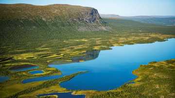 Faster growth may help bacteria remove lake plastic waste: study