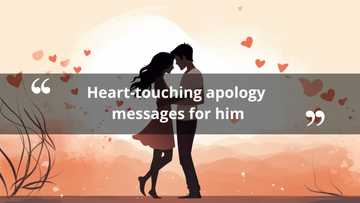 150+ heart-touching apology messages for him: sorry messages for a boyfriend