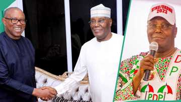 "It is normal": PDP chieftain speaks on Atiku, Obi's permutation