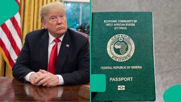 4 countries that have restricted, suspended visas for Nigerian passport holders