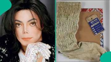 Michael Jackson's dirty sock sells for over N15m at auction