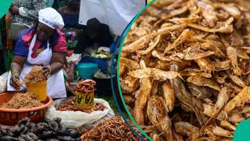 Dealers hike crayfish prices in Lagos, other Nigerian states, consumers lament