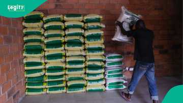 FULL LIST: 7 times the price of 50kg bag of rice goes up in Nigeria over the past 30 years