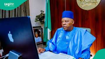 NEC backs 90-day economic action plan to cut cost of living for Nigerians