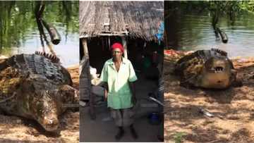 Married father of 4 who lives with a crocodile goes viral, says it is not witchcraft that they are friends