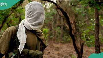 Bandits contact families of abducted Kwara worshippers, demand N100m ransom per head