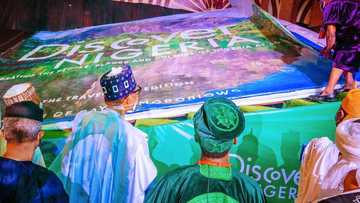 Fact-check: Is Buhari’s photographer’s "Discover Nigeria” recognised as largest pictorial book in the world?