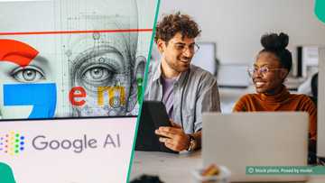 Google opens applications for 10th startups accelerator programme, lists benefits