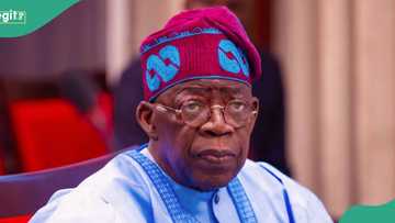 2027 presidency: Benue APC backs Tinubu's 2nd term bid, gives reason