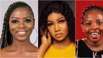 BBNaija 2019: Nigerians clash on Twitter over video of Tacha crying under her duvet
