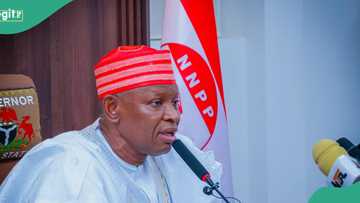 Dalilin da ya sa aka nemi likitoci 'yan asalin Kano da ke aiki a wasu jihohi su koma gida