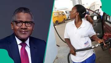 Dangote announces plan to slash petrol price further as experts predict new cost