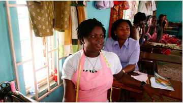 Flutterwave founder in search of women-owned business to fund