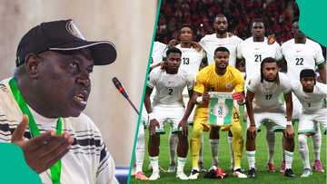 Super Falcons coach aims stylish dig at Super Eagles after 2026 FIFA World Cup absence