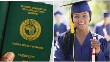 6 important documents Nigerian students should have before applying for masters admission in UK universities