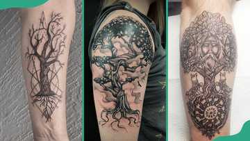 21 awesome Tree of Life tattoo ideas and what they represent