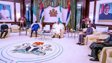 An bayyana dalilin da yasa Jonathan ya ziyarci Buhari a Aso Rock