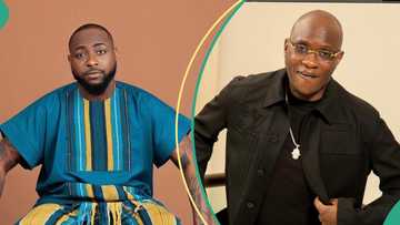 Ambassadors or political errand boys? Oluwafemi Popoola assesses