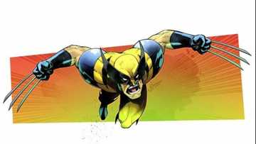De quel animal Wolverine est-il inspiré : glouton ou serval ?